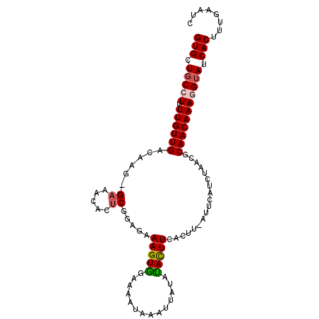secondary structure
