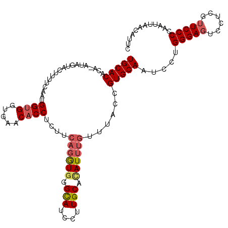 secondary structure