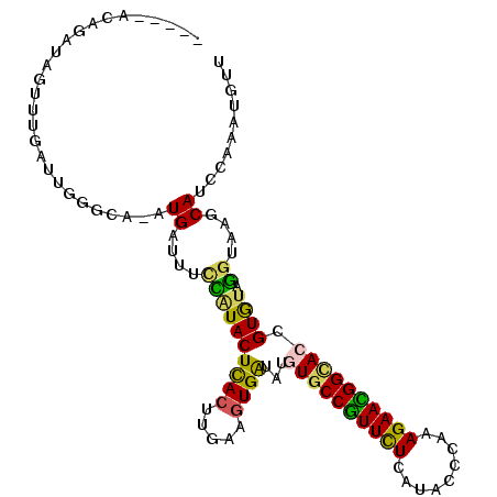 secondary structure