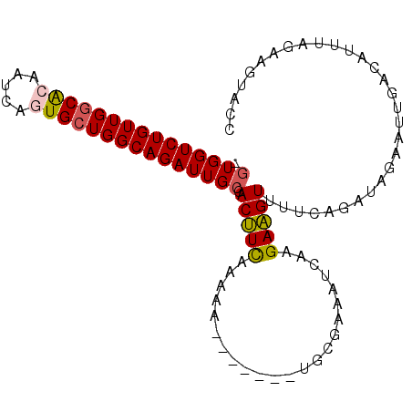 secondary structure