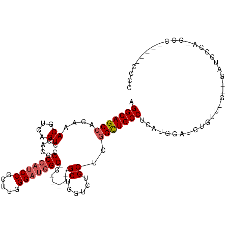 secondary structure