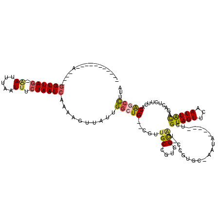secondary structure