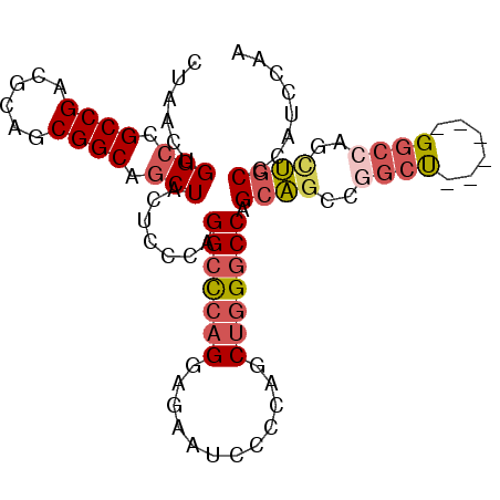 secondary structure
