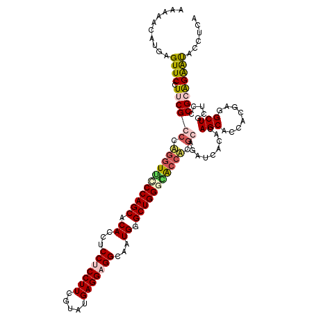 secondary structure