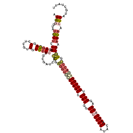 secondary structure