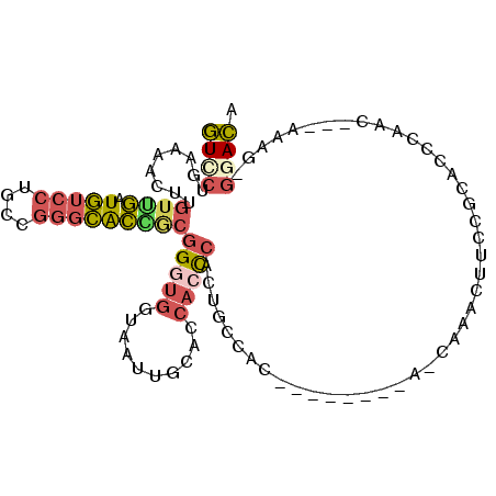 secondary structure