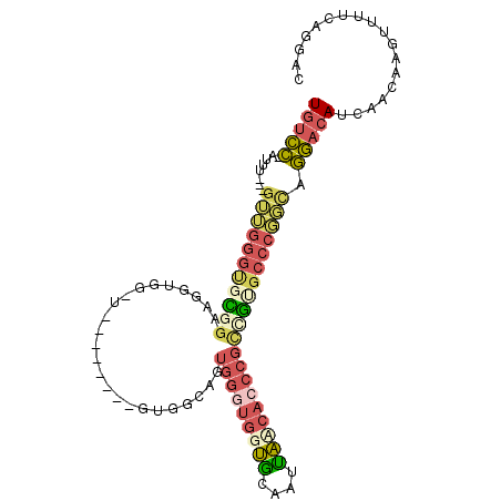 secondary structure