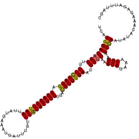secondary structure