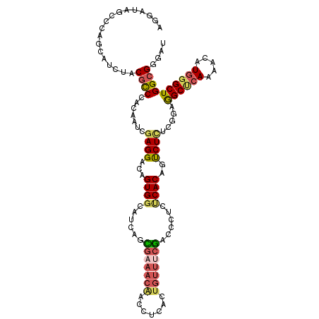 secondary structure