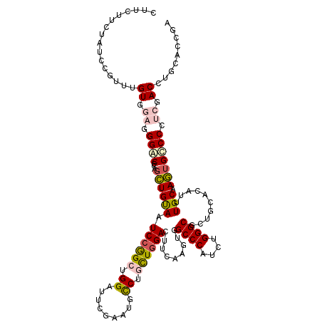 secondary structure