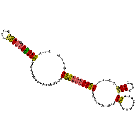 secondary structure
