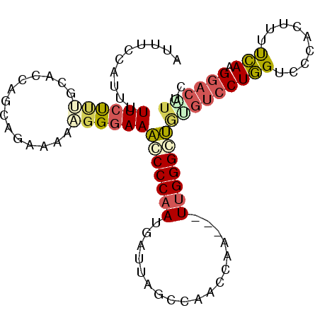 secondary structure
