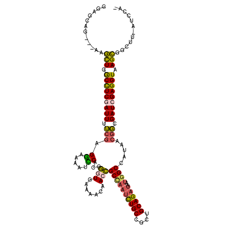 secondary structure