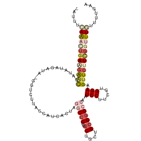 secondary structure
