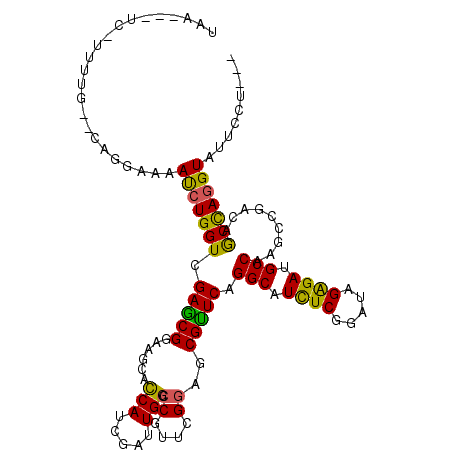 secondary structure