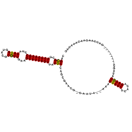 secondary structure