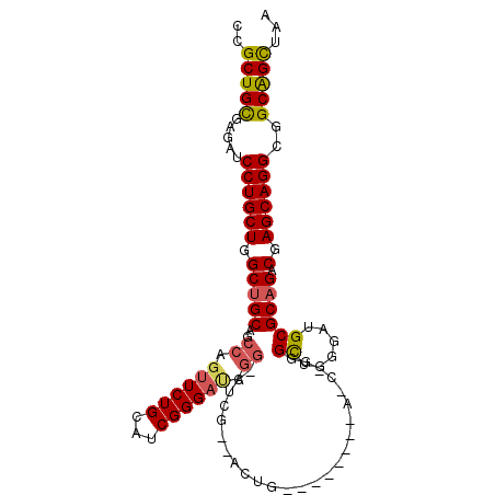 secondary structure