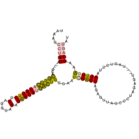 secondary structure