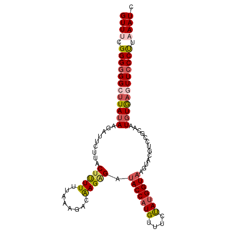 secondary structure