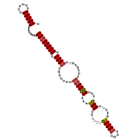 secondary structure