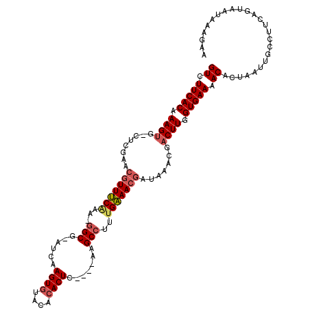 secondary structure