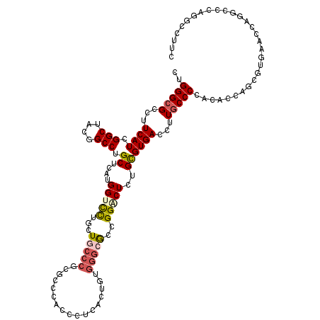 secondary structure