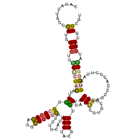 secondary structure