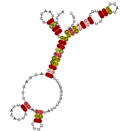 secondary structure