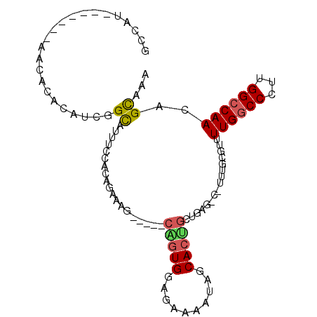 secondary structure