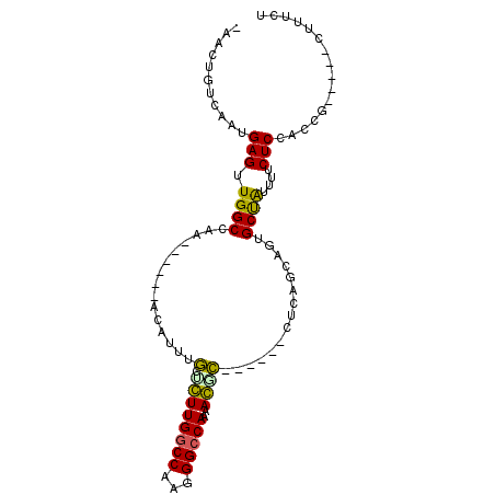 secondary structure