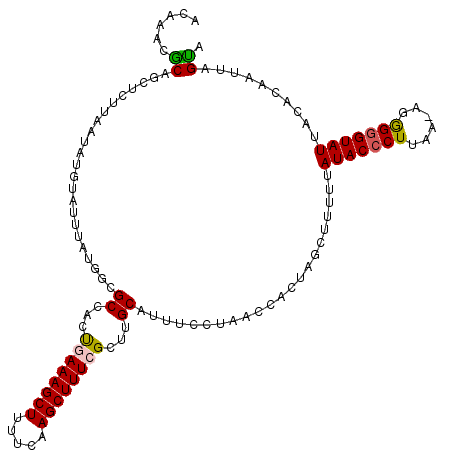 secondary structure