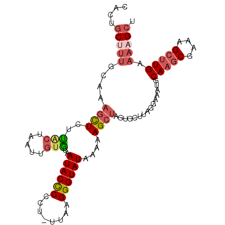 secondary structure