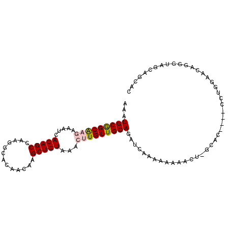 secondary structure