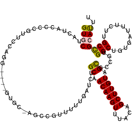 secondary structure