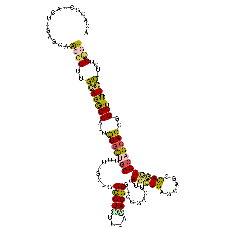 secondary structure