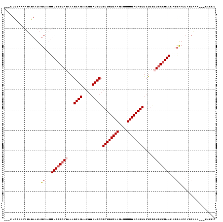 dotplot