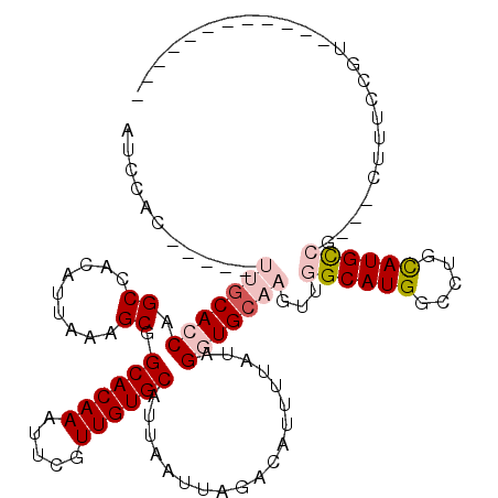 secondary structure