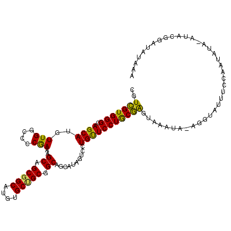 secondary structure