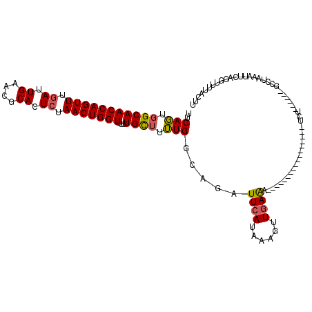 secondary structure