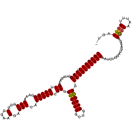 secondary structure