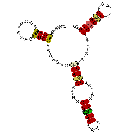 secondary structure
