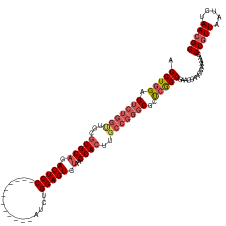 secondary structure