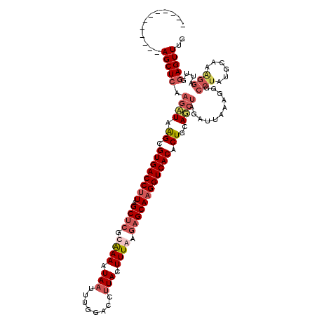 secondary structure