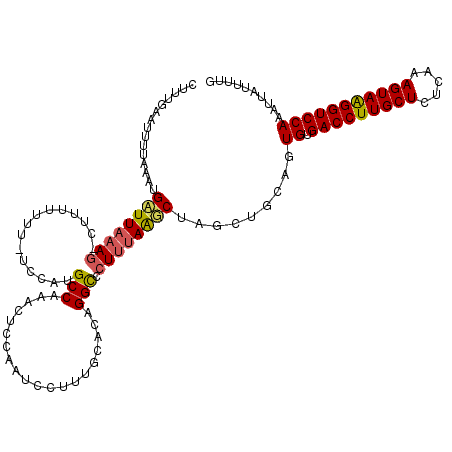secondary structure