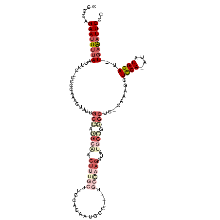 secondary structure