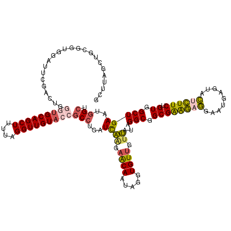 secondary structure