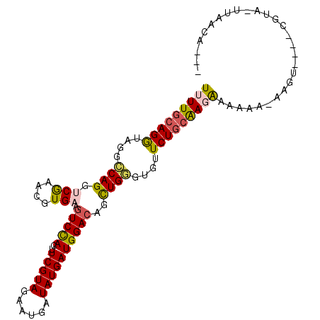 secondary structure