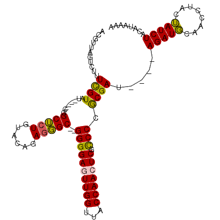 secondary structure