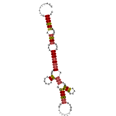 secondary structure