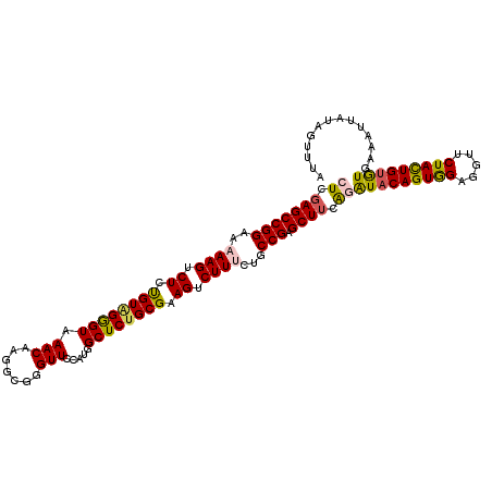 secondary structure